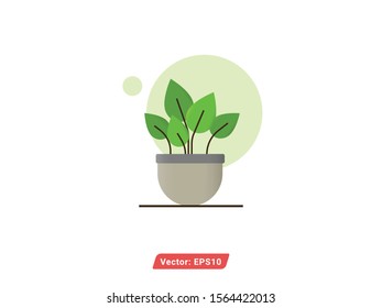 plant vector illustration. modern and simple plant flat design style. plant icon vector