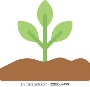 plant  Vector illustration on a transparent background. Premium quality symmbols. Line Color vector icons for concept and graphic design. 
