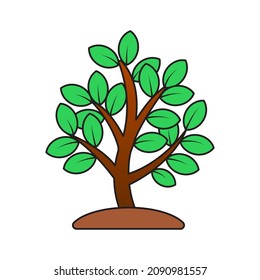 Plant vector illustration with simple design isolated on white background