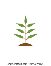 Plant vector isolated on white background - icon 
