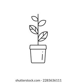 Plant vector linear icon. Houseplant flat sign design. Seedling nature plant symbol isolated pictogram. Plant UX UI icon symbol outline sign 