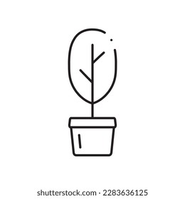 Plant vector linear icon. Houseplant flat sign design. Seedling nature plant symbol isolated pictogram. Plant UX UI icon symbol outline sign 