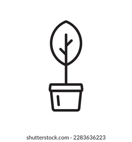 Plant vector linear icon. Houseplant flat sign design. Seedling nature plant symbol isolated pictogram. Plant UX UI icon symbol outline sign 