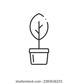 Plant vector linear icon. Houseplant flat sign design. Seedling nature plant symbol isolated pictogram. Plant UX UI icon symbol outline sign 