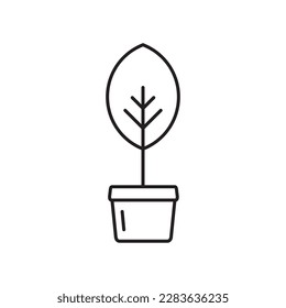 Plant vector linear icon. Houseplant flat sign design. Seedling nature plant symbol isolated pictogram. Plant UX UI icon symbol outline sign 