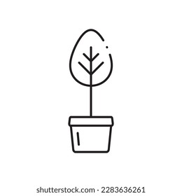 Plant vector linear icon. Houseplant flat sign design. Seedling nature plant symbol isolated pictogram. Plant UX UI icon symbol outline sign 