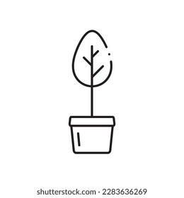 Plant vector linear icon. Houseplant flat sign design. Seedling nature plant symbol isolated pictogram. Plant UX UI icon symbol outline sign 