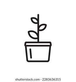 Plant vector linear icon. Houseplant flat sign design. Seedling nature plant symbol isolated pictogram. Plant UX UI icon symbol outline sign 