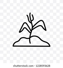 Plant vector linear icon isolated on transparent background, Plant transparency concept can be used for web and mobile
