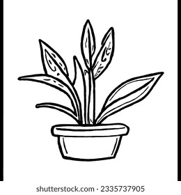 Plant Vector in Minimal Hand Drawing 