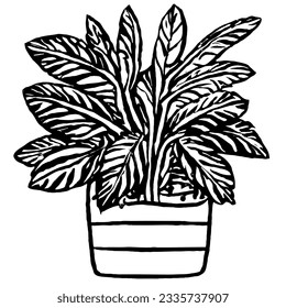 Plant Vector in Minimal Hand Drawing 