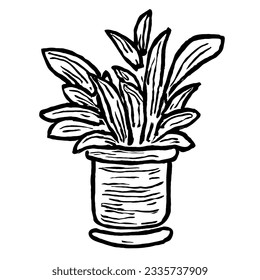 Plant Vector in Minimal Hand Drawing 