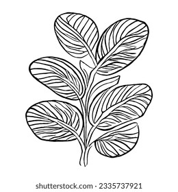 Vector de planta en dibujo de mano mínima 