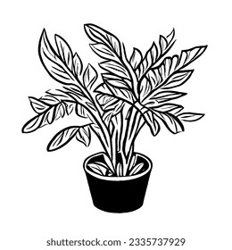 Plant Vector in Minimal Hand Drawing 