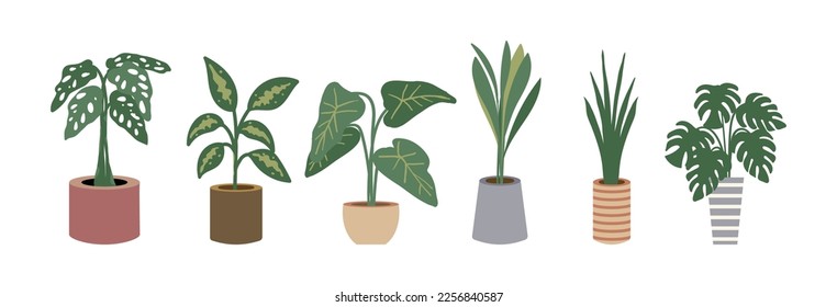 plant vector on white background