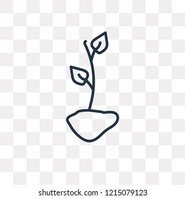 Plant vector outline icon isolated on transparent background, high quality linear Plant transparency concept can be used web and mobile