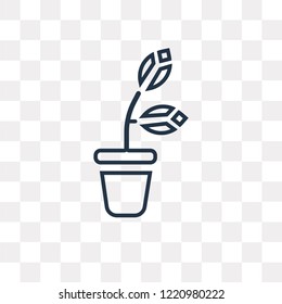 Plant vector outline icon isolated on transparent background, high quality linear Plant transparency concept can be used web and mobile