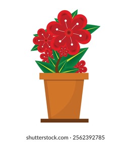 plant vector, potted plant, indoor plant, houseplant illustration. 