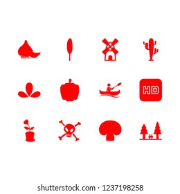 Plant vector set. With cactus, mushroom and leaves icons in set