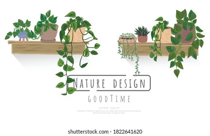 Conjunto de vectores de planta, Plantas de jardinería interior y exterior aisladas en blanco, Vector puso planta verde en la olla.
