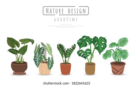 Plant vector set, Indoor and outdoor landscape garden potted plants isolated on white, Vector set green plant in the pot.