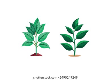 Plant vector style white white background