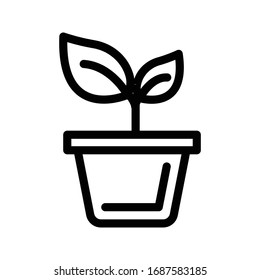 plant vector thin line icon 