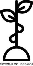 plant vector thin line icon