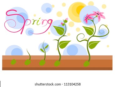 Plant vegatation in spring time - vector illustration