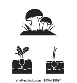 Plant, vegetable black icons in set collection for design. Garden and harvest vector symbol stock web illustration.