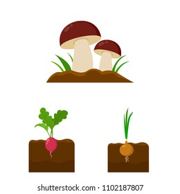 Plant, vegetable cartoon icons in set collection for design. Garden and harvest vector symbol stock web illustration.