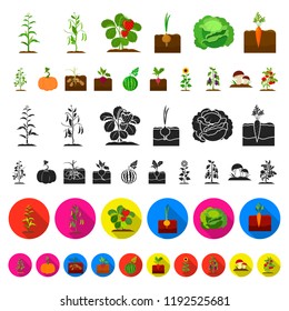 Plant, vegetable cartoon icons in set collection for design. Garden and harvest vector symbol stock web illustration.