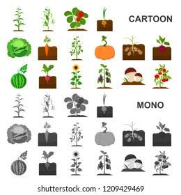 Plant, vegetable cartoon icons in set collection for design. Garden and harvest vector symbol stock web illustration.