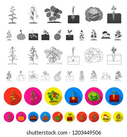 Plant, vegetable flat icons in set collection for design. Garden and harvest vector symbol stock web illustration.
