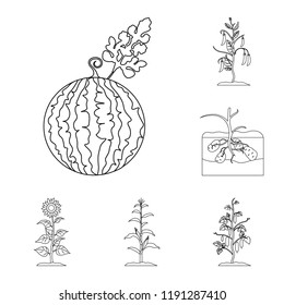 Plant, vegetable outline icons in set collection for design. Garden and harvest vector symbol stock web illustration.