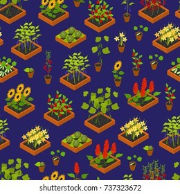 Plant, Vegetables, Fruits and Flowers Seedling witch Elements Background Pattern Isometric View Cultivated Agriculture. Vector illustration