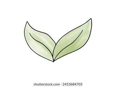 Plant watercolor doodle element. Vector illustration.