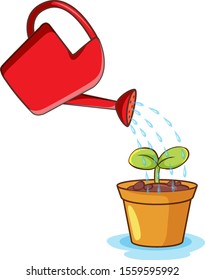 Plant and watering can on white background illustration