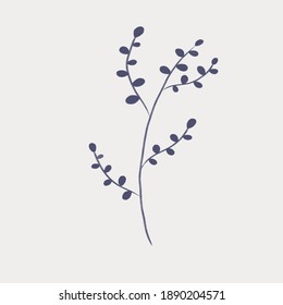 Plant is what something make us relax