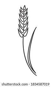 The plant is wheat. Ear and stalk. Black thin line art. Isolated plant on a white background. Vector illustration.