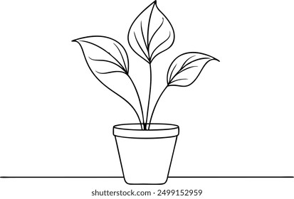 A plant in a white pot is drawn in black. The plant is a small tree with green leaves. Concept of simplicity and natural beauty