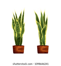 Plant in a wooden pot. Element of home decor. The symbol of growth and ecology/ Vector illustration. Eps 10
