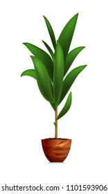 Plant in a wooden pot. Element of home decor. The symbol of growth and ecology/ Vector illustration. Eps 10