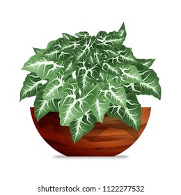 Plant in a wooden pot. Element of home decor. The symbol of growth and ecology/ Vector illustration. Eps 10