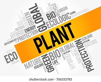 Plant word cloud, conceptual green ecology background