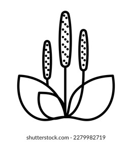 Plantago icon. Healing herb sign. Psyllium husk. Medicinal plant in minimalist style. Editable strokes, thin line, for label, herbal shop, medicine.