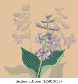 plantain lily, giboshi, garden flower, hosta, vector drawing flowering plants, floral composition, hand drawn botanical illustration