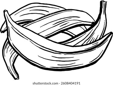 Plantain. Vegetables. Hand drawn vector isolated sketch.