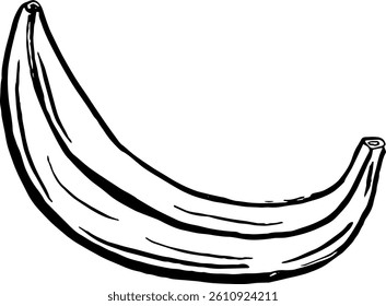 Plantain. Vegetables. Hand drawn vector isolated sketch.
