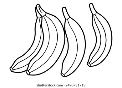 Plantains Hand Drawing Line Art